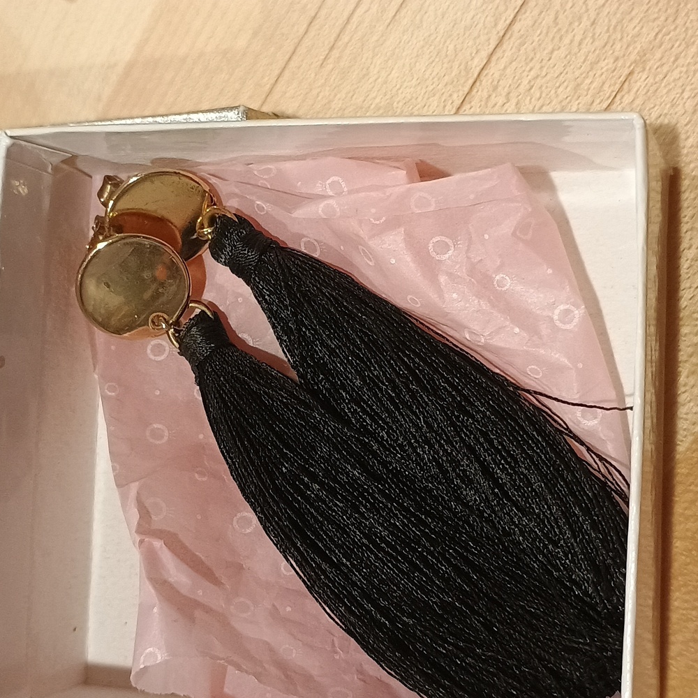 Chic Black Tassel Earrings with Gold Discs - Picture 6 of 6